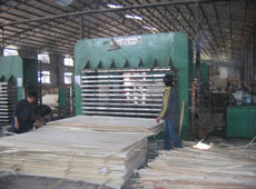 通過(guò)檢驗(yàn)的包裝板用材